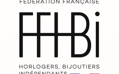 24/02/2025 – Premier atelier d’accompagnement à Toulouse avec la FFHBI…