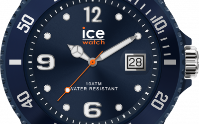 10/06/2026 – La ICE forever est de retour.